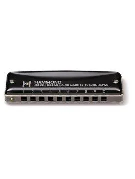 Suzuki Hammond All Keys Only