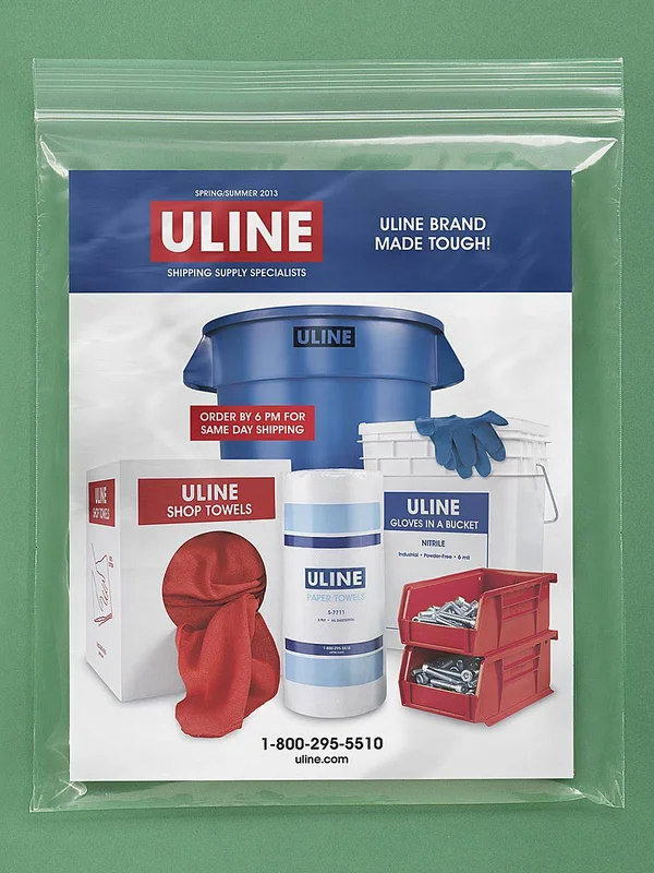 2 Mil Zip Reclosable Bags 10 x 12