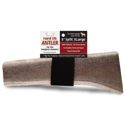 Wapiti Labs - Elk Antler Chew 8in XL-Split