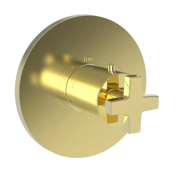 Newport Brass 3-2984TR/034 Dorrance 3/4x22 Round Thermostatic Trim Plate with Handle Aged Brass