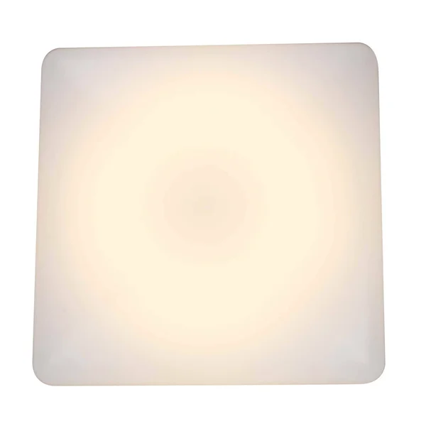 LED Flush Mount Ceiling Light in White