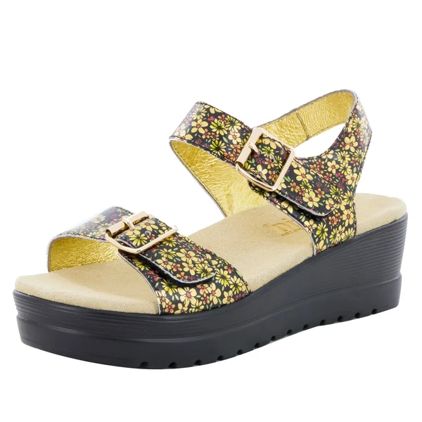 Alegria Women's Morgyn Wedge Sandal Pretty Things 40