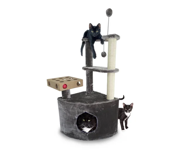 Tiger Tough Home Base Cat Playground - Gray