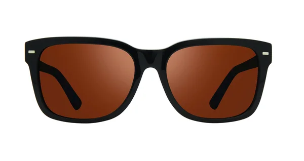 Revo Taylor RE1104 Sunglasses in Black