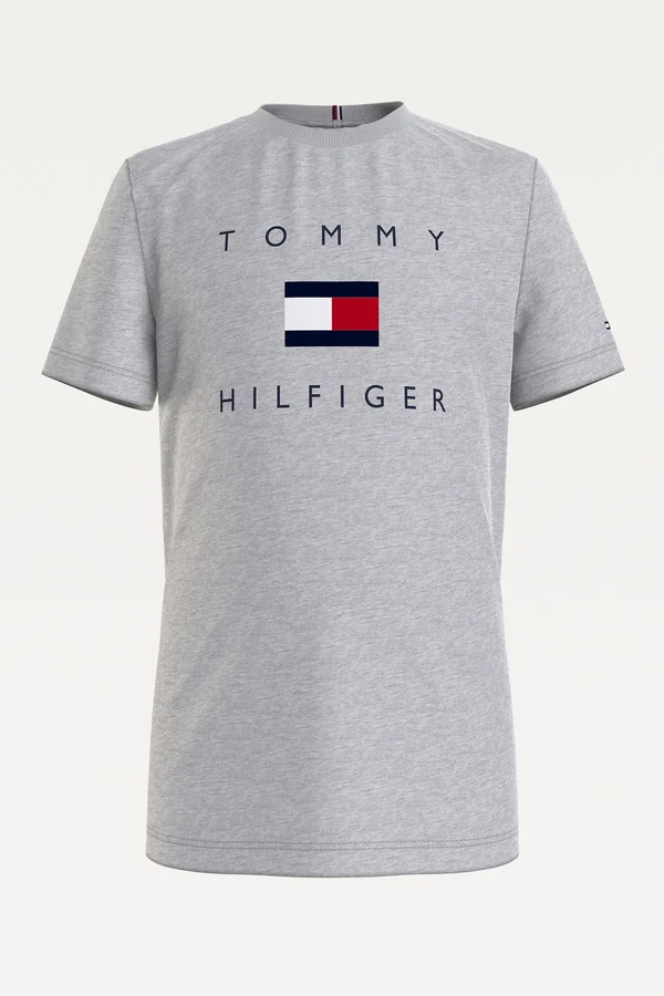 Boys Tommy Hilfiger Grey Hilfiger Logo T-Shirt - Grey