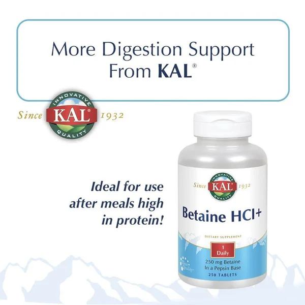 Kal Pancreatin 1400mg - 500 Tablet
