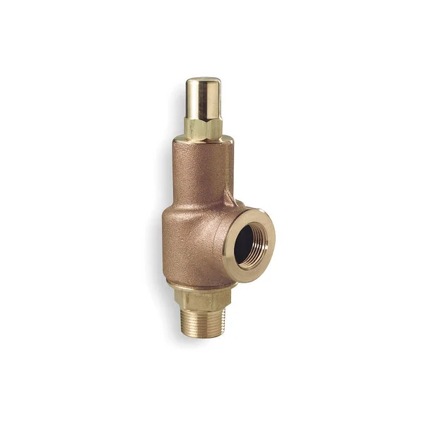 Aquatrol 69D1-150 Adjustable Relief Valve - 1-1/4 In, 150 PSI