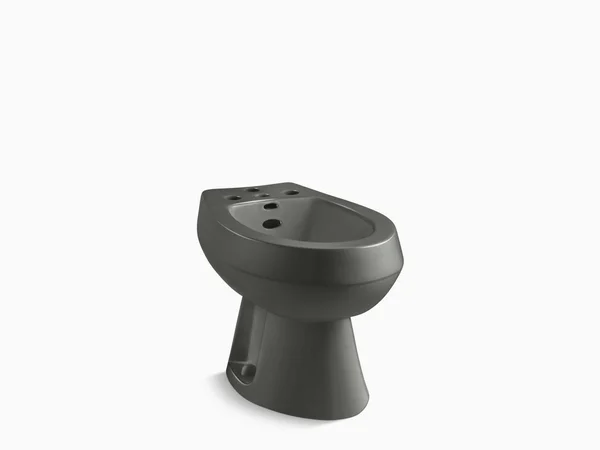 KOHLER K-4854-58 San Tropez Vertical Spray Bidet with 4 Faucet Holes - Thunder Grey