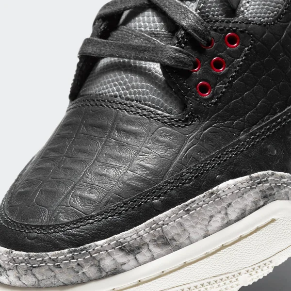 Air Jordan 3 Retro SE Animal Instinct
