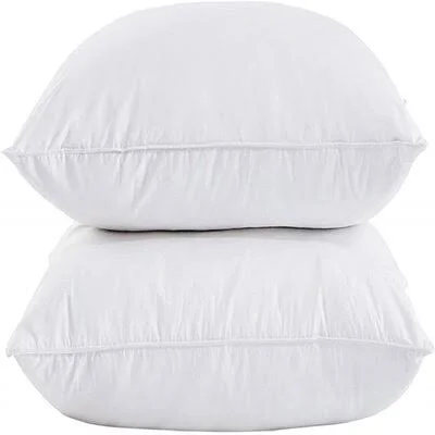 King Size Soft Down Feather Bed Pillows Sleeping Washable-King Size-2 Packs-100% Cotton Cover Alwyn Home Size: Queen
